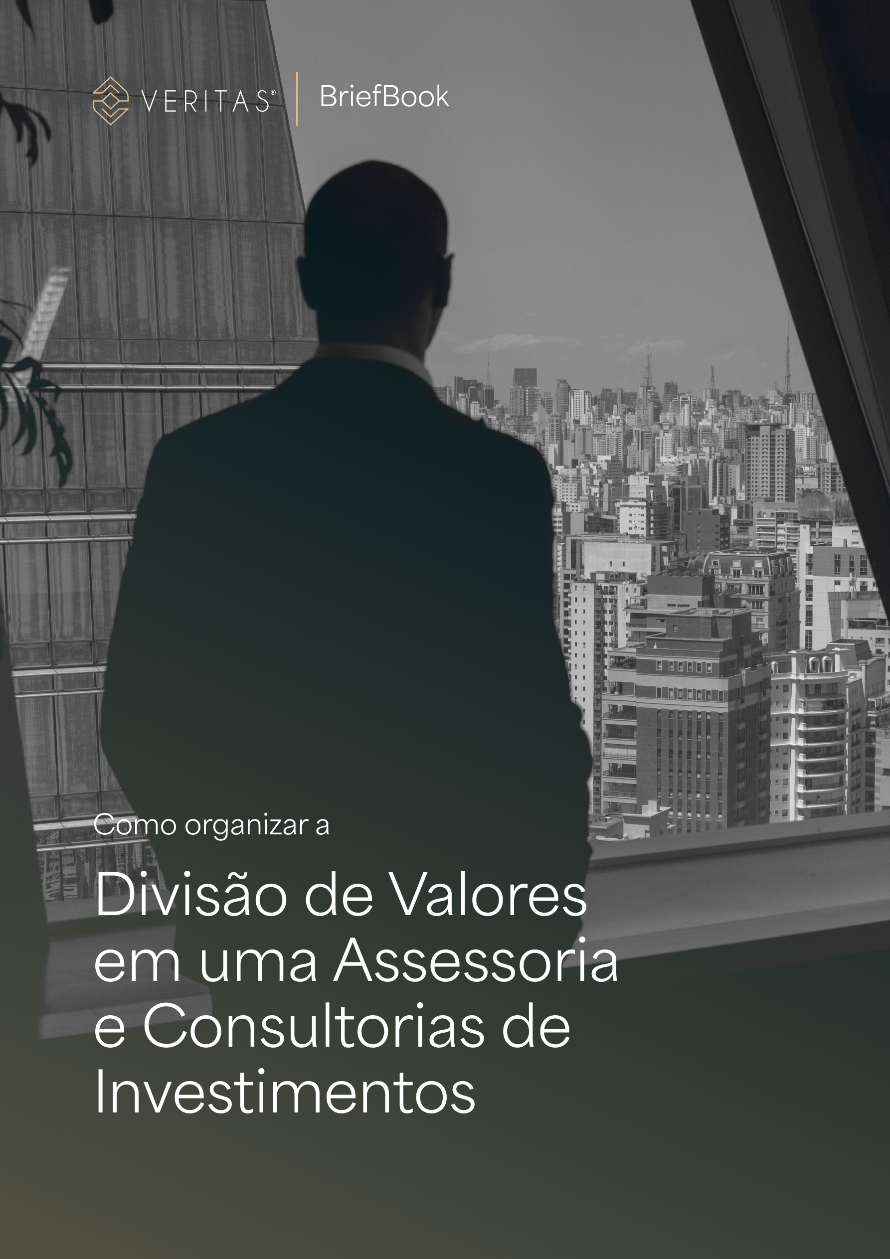 Capa de Divisão de Valores em Assessorias e Consultorias de Investimentos